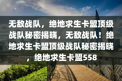 无敌战队，绝地求生卡盟顶级战队秘密揭晓，无敌战队！绝地求生卡盟顶级战队秘密揭晓，绝地求生卡盟558
