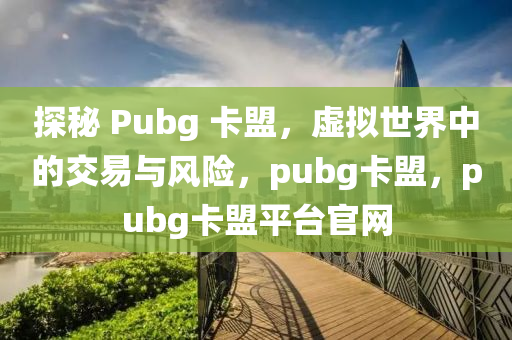 探秘 Pubg 卡盟，虚拟世界中的交易与风险，pubg卡盟，pubg卡盟平台官网