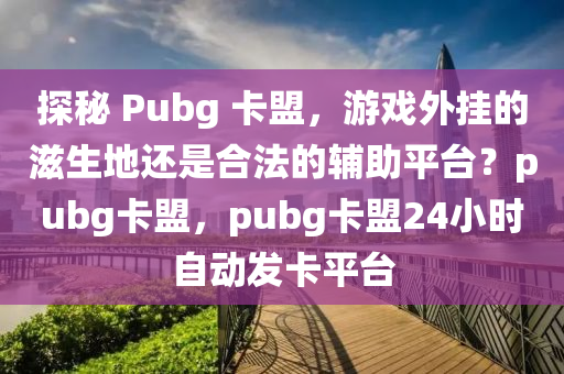 探秘 Pubg 卡盟，游戏外挂的滋生地还是合法的辅助平台？pubg卡盟，pubg卡盟24小时自动发卡平台