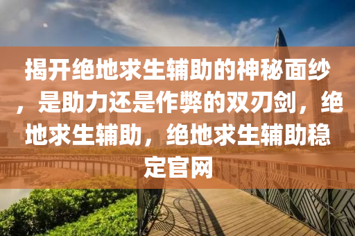 揭开绝地求生辅助的神秘面纱，是助力还是作弊的双刃剑，绝地求生辅助，绝地求生辅助稳定官网