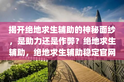 揭开绝地求生辅助的神秘面纱，是助力还是作弊？绝地求生辅助，绝地求生辅助稳定官网