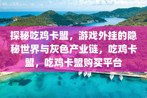 探秘吃鸡卡盟，游戏外挂的隐秘世界与灰色产业链，吃鸡卡盟，吃鸡卡盟购买平台