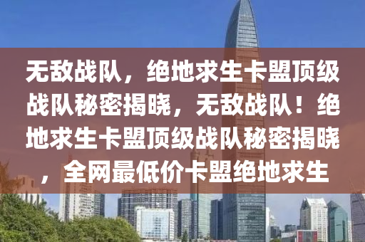 无敌战队，绝地求生卡盟顶级战队秘密揭晓，无敌战队！绝地求生卡盟顶级战队秘密揭晓，全网最低价卡盟绝地求生