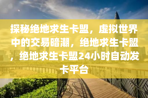 探秘绝地求生卡盟，虚拟世界中的交易暗潮，绝地求生卡盟，绝地求生卡盟24小时自动发卡平台