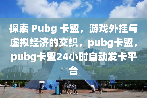探索 Pubg 卡盟，游戏外挂与虚拟经济的交织，pubg卡盟，pubg卡盟24小时自动发卡平台
