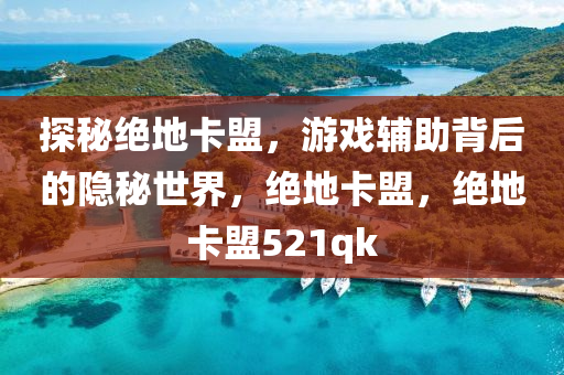 探秘绝地卡盟，游戏辅助背后的隐秘世界，绝地卡盟，绝地卡盟521qk
