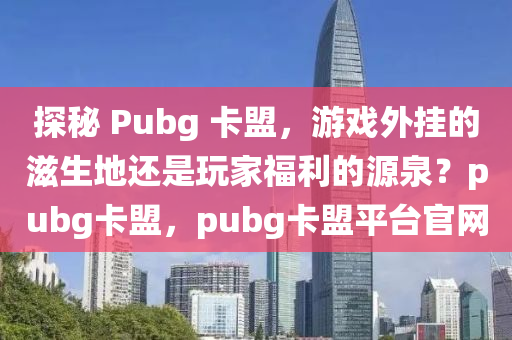 探秘 Pubg 卡盟，游戏外挂的滋生地还是玩家福利的源泉？pubg卡盟，pubg卡盟平台官网