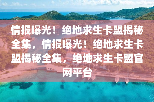 情报曝光！绝地求生卡盟揭秘全集，情报曝光！绝地求生卡盟揭秘全集，绝地求生卡盟官网平台