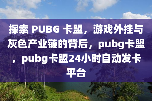 探索 PUBG 卡盟，游戏外挂与灰色产业链的背后，pubg卡盟，pubg卡盟24小时自动发卡平台