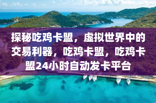 探秘吃鸡卡盟，虚拟世界中的交易利器，吃鸡卡盟，吃鸡卡盟24小时自动发卡平台