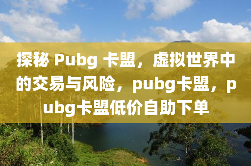 探秘 Pubg 卡盟，虚拟世界中的交易与风险，pubg卡盟，pubg卡盟低价自助下单