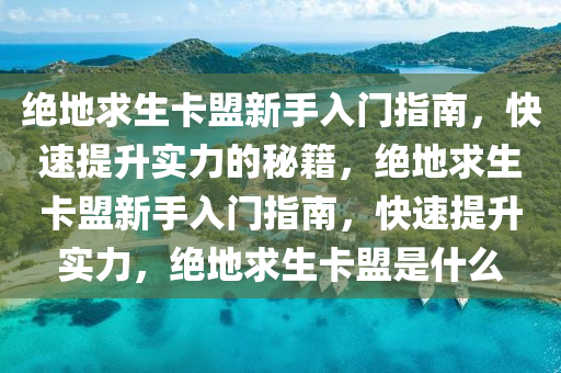 绝地求生卡盟新手入门指南，快速提升实力的秘籍，绝地求生卡盟新手入门指南，快速提升实力，绝地求生卡盟是什么