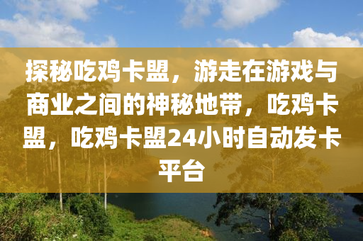 探秘吃鸡卡盟，游走在游戏与商业之间的神秘地带，吃鸡卡盟，吃鸡卡盟24小时自动发卡平台
