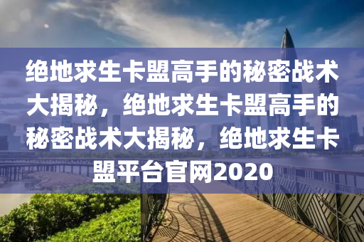 绝地求生卡盟高手的秘密战术大揭秘，绝地求生卡盟高手的秘密战术大揭秘，绝地求生卡盟平台官网2020