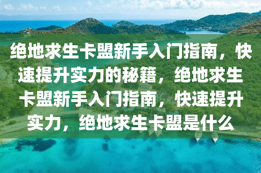 绝地求生卡盟新手入门指南，快速提升实力的秘籍，绝地求生卡盟新手入门指南，快速提升实力，绝地求生卡盟是什么