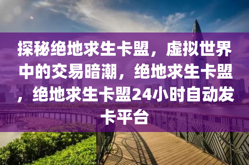 探秘绝地求生卡盟，虚拟世界中的交易暗潮，绝地求生卡盟，绝地求生卡盟24小时自动发卡平台