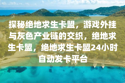 探秘绝地求生卡盟，游戏外挂与灰色产业链的交织，绝地求生卡盟，绝地求生卡盟24小时自动发卡平台
