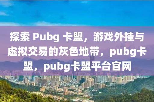 探索 Pubg 卡盟，游戏外挂与虚拟交易的灰色地带，pubg卡盟，pubg卡盟平台官网
