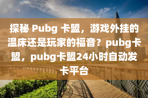 探秘 Pubg 卡盟，游戏外挂的温床还是玩家的福音？pubg卡盟，pubg卡盟24小时自动发卡平台
