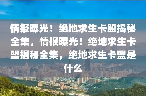 情报曝光！绝地求生卡盟揭秘全集，情报曝光！绝地求生卡盟揭秘全集，绝地求生卡盟是什么