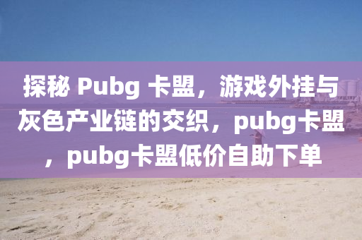 探秘 Pubg 卡盟，游戏外挂与灰色产业链的交织，pubg卡盟，pubg卡盟低价自助下单