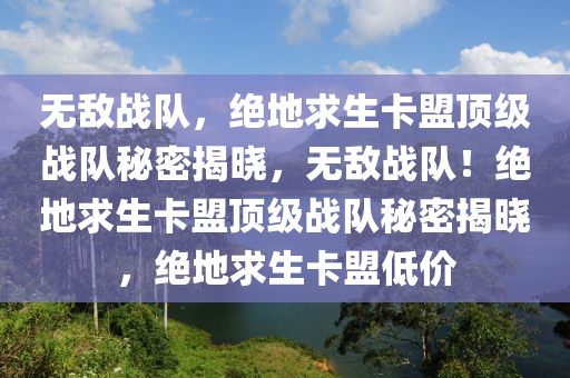 无敌战队，绝地求生卡盟顶级战队秘密揭晓，无敌战队！绝地求生卡盟顶级战队秘密揭晓，绝地求生卡盟低价
