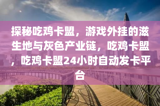 探秘吃鸡卡盟，游戏外挂的滋生地与灰色产业链，吃鸡卡盟，吃鸡卡盟24小时自动发卡平台