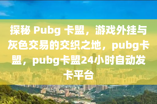 探秘 Pubg 卡盟，游戏外挂与灰色交易的交织之地，pubg卡盟，pubg卡盟24小时自动发卡平台