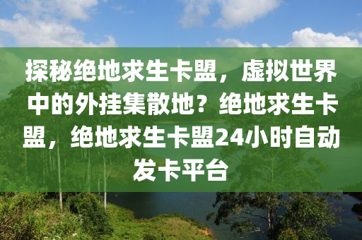 探秘绝地求生卡盟，虚拟世界中的外挂集散地？绝地求生卡盟，绝地求生卡盟24小时自动发卡平台