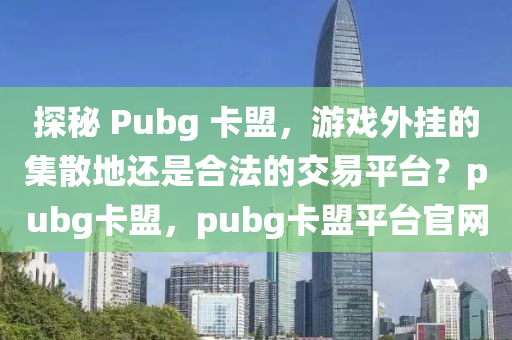 探秘 Pubg 卡盟，游戏外挂的集散地还是合法的交易平台？pubg卡盟，pubg卡盟平台官网