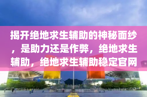 揭开绝地求生辅助的神秘面纱，是助力还是作弊，绝地求生辅助，绝地求生辅助稳定官网