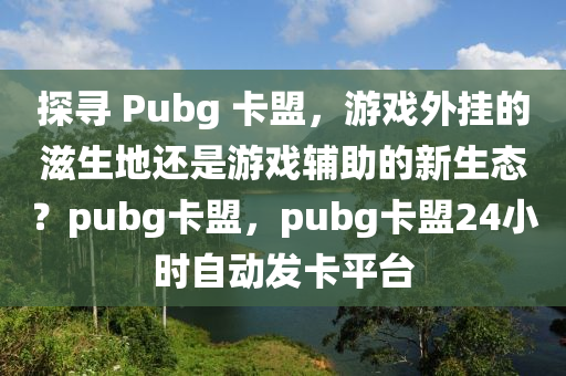 探寻 Pubg 卡盟，游戏外挂的滋生地还是游戏辅助的新生态？pubg卡盟，pubg卡盟24小时自动发卡平台