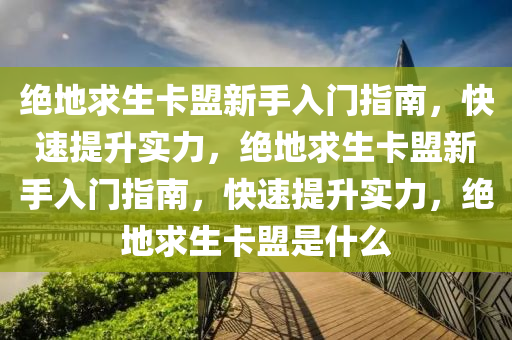 绝地求生卡盟新手入门指南，快速提升实力，绝地求生卡盟新手入门指南，快速提升实力，绝地求生卡盟是什么