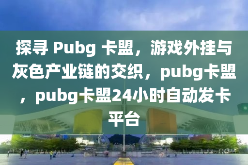 探寻 Pubg 卡盟，游戏外挂与灰色产业链的交织，pubg卡盟，pubg卡盟24小时自动发卡平台