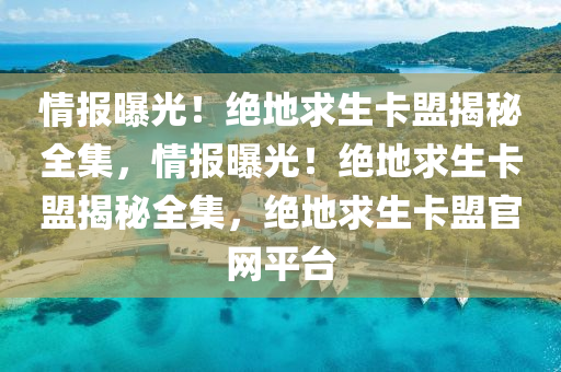 情报曝光！绝地求生卡盟揭秘全集，情报曝光！绝地求生卡盟揭秘全集，绝地求生卡盟官网平台