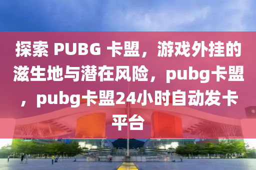探索 PUBG 卡盟，游戏外挂的滋生地与潜在风险，pubg卡盟，pubg卡盟24小时自动发卡平台