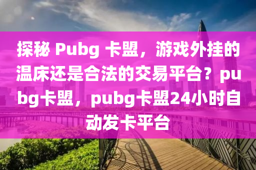 探秘 Pubg 卡盟，游戏外挂的温床还是合法的交易平台？pubg卡盟，pubg卡盟24小时自动发卡平台