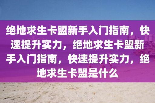 绝地求生卡盟新手入门指南，快速提升实力，绝地求生卡盟新手入门指南，快速提升实力，绝地求生卡盟是什么