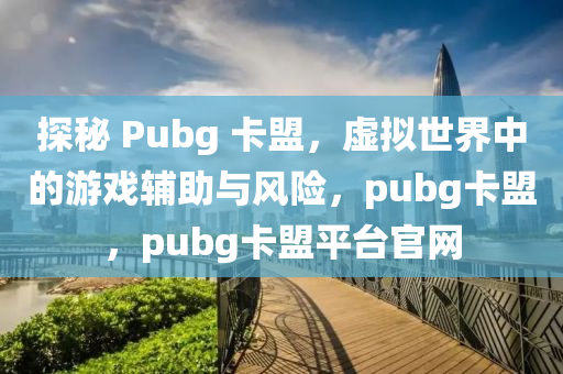 探秘 Pubg 卡盟，虚拟世界中的游戏辅助与风险，pubg卡盟，pubg卡盟平台官网