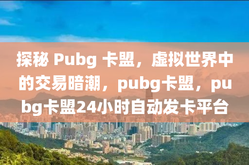 探秘 Pubg 卡盟，虚拟世界中的交易暗潮，pubg卡盟，pubg卡盟24小时自动发卡平台