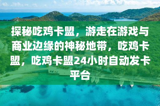 探秘吃鸡卡盟，游走在游戏与商业边缘的神秘地带，吃鸡卡盟，吃鸡卡盟24小时自动发卡平台