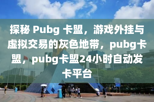 探秘 Pubg 卡盟，游戏外挂与虚拟交易的灰色地带，pubg卡盟，pubg卡盟24小时自动发卡平台