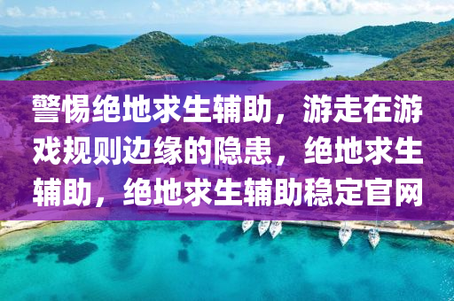 警惕绝地求生辅助，游走在游戏规则边缘的隐患，绝地求生辅助，绝地求生辅助稳定官网