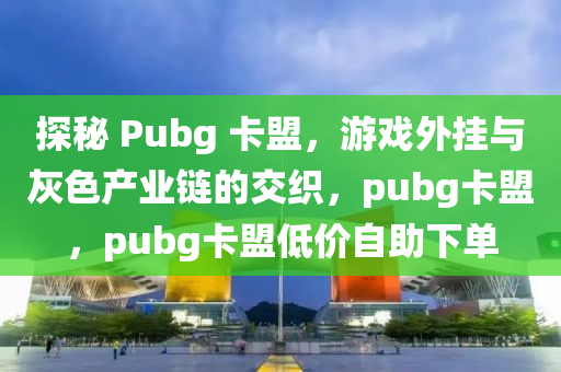 探秘 Pubg 卡盟，游戏外挂与灰色产业链的交织，pubg卡盟，pubg卡盟低价自助下单