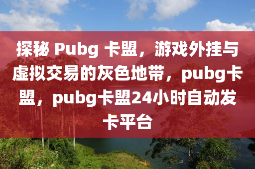 探秘 Pubg 卡盟，游戏外挂与虚拟交易的灰色地带，pubg卡盟，pubg卡盟24小时自动发卡平台