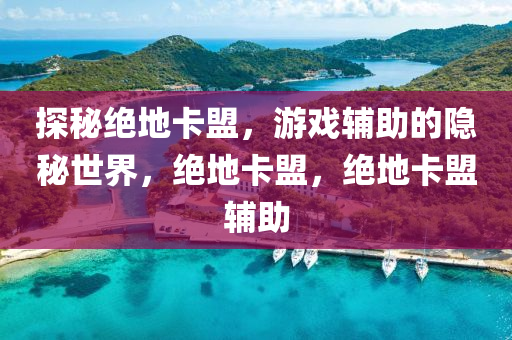 探秘绝地卡盟，游戏辅助的隐秘世界，绝地卡盟，绝地卡盟辅助