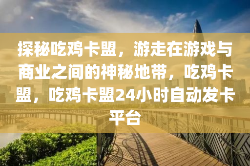探秘吃鸡卡盟，游走在游戏与商业之间的神秘地带，吃鸡卡盟，吃鸡卡盟24小时自动发卡平台