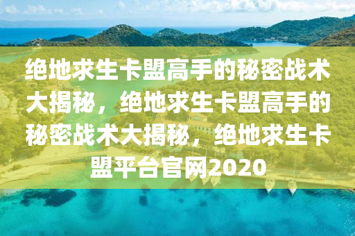 绝地求生卡盟高手的秘密战术大揭秘，绝地求生卡盟高手的秘密战术大揭秘，绝地求生卡盟平台官网2020