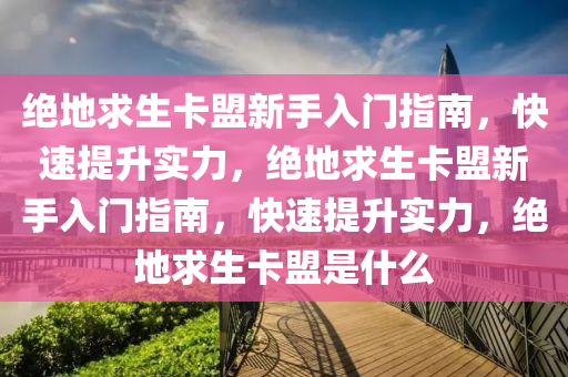 绝地求生卡盟新手入门指南，快速提升实力，绝地求生卡盟新手入门指南，快速提升实力，绝地求生卡盟是什么