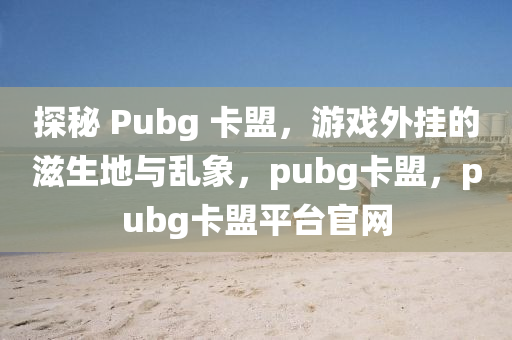 探秘 Pubg 卡盟，游戏外挂的滋生地与乱象，pubg卡盟，pubg卡盟平台官网